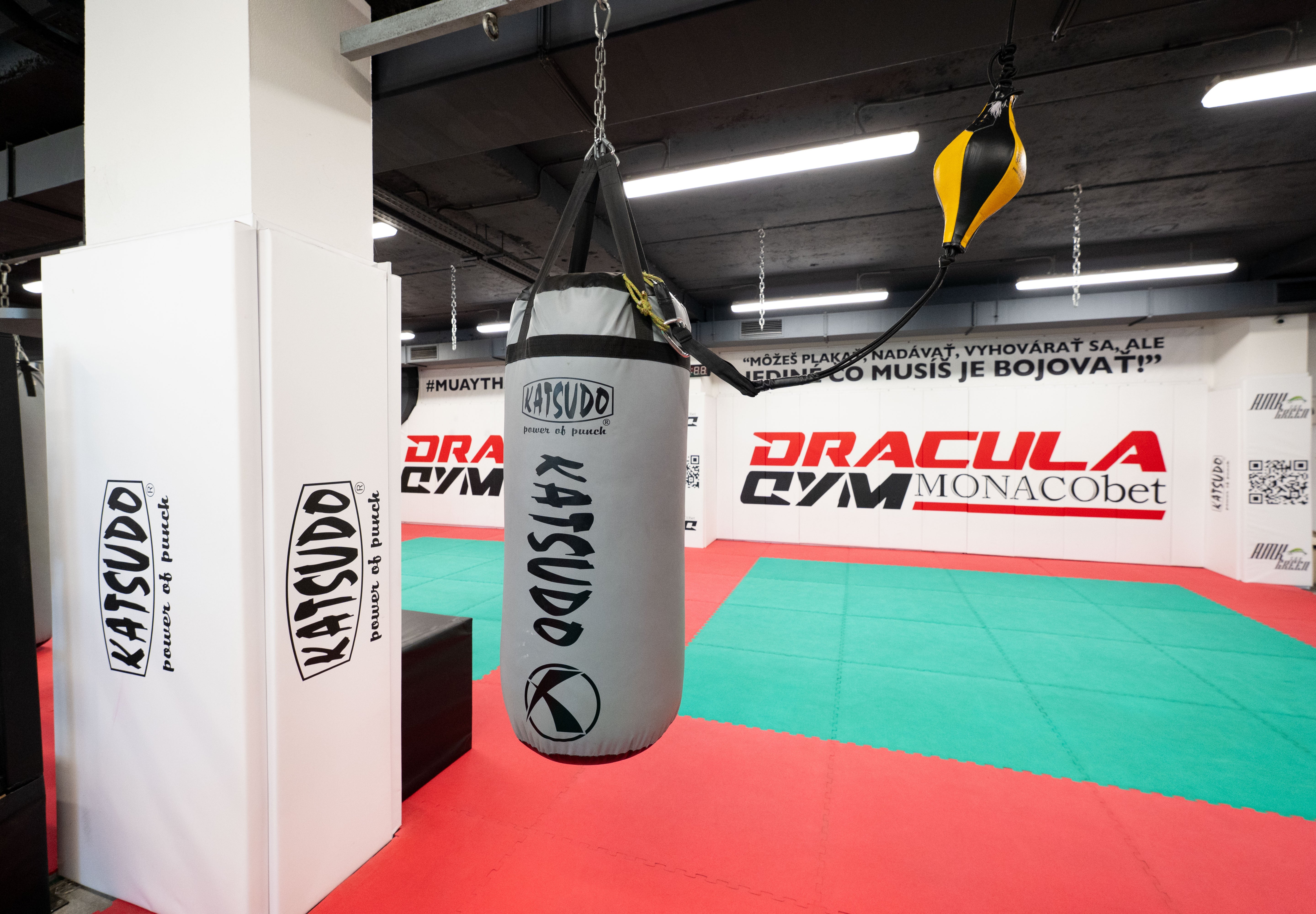 Katsudo boxovací pytel Big boy Pro Boxing, šedý