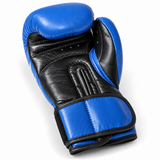 Katsudo boxerské rukavice Champion IV, modré