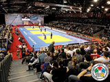 BSW judo tatami, travnatě zelená