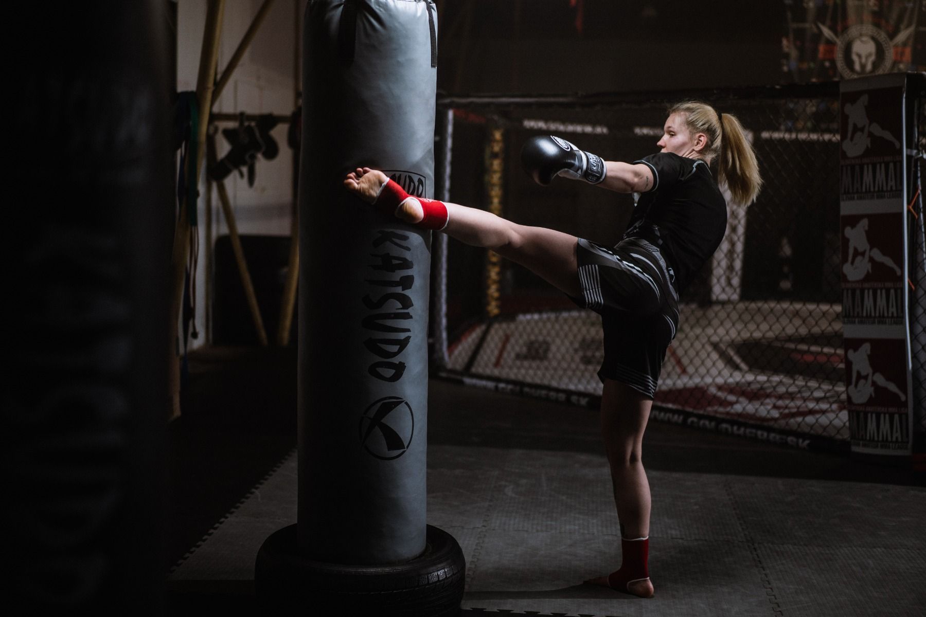 Katsudo plastelový boxovací pytel Texa, šedý
