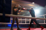Katsudo kožené boxerské lapy Perfect, černé